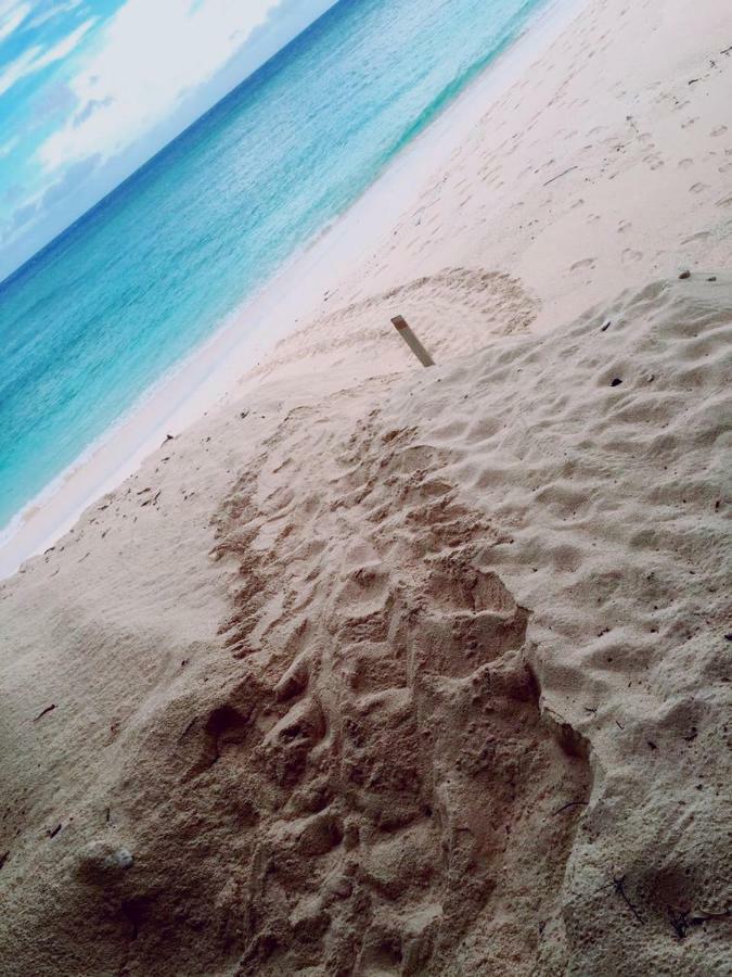Thalassa Beach And Pool Villa Yoron Luaran gambar